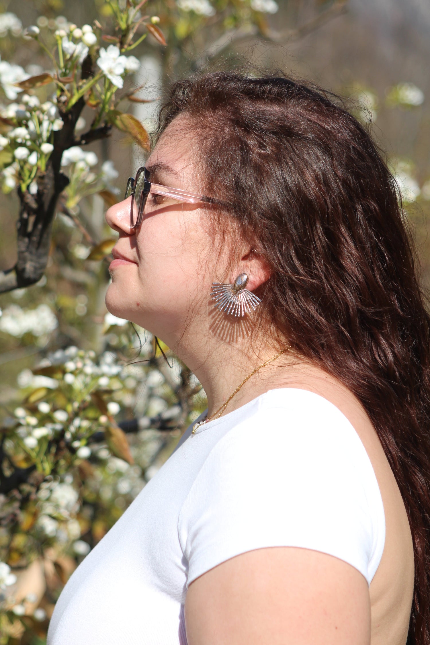 Les Boucles d'oreilles
