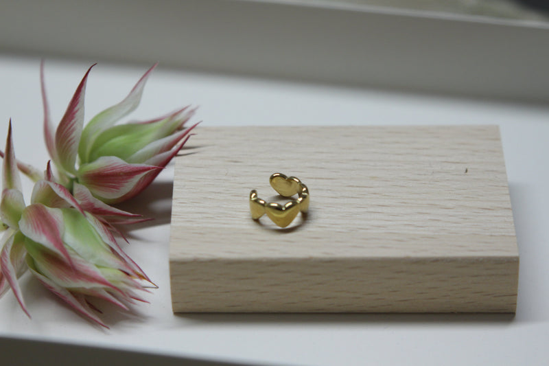 les Bijoux d'oreilles