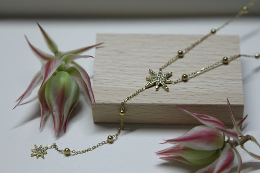 Collier Starly