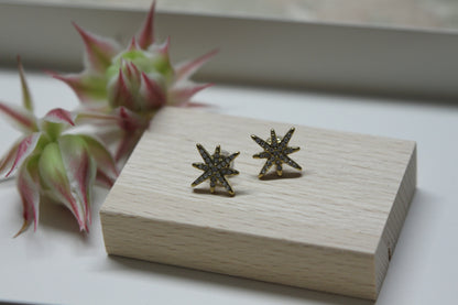 Boucles d'oreilles Starly