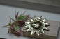 Broche Losun