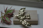 Broche Fly