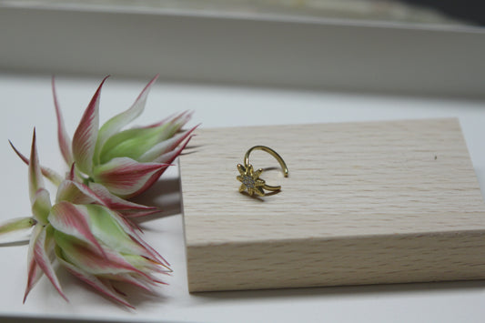 Bijou d'oreille Star