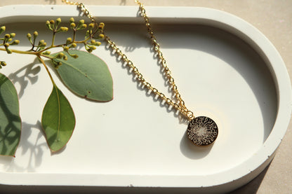 Le Collier Hélioz